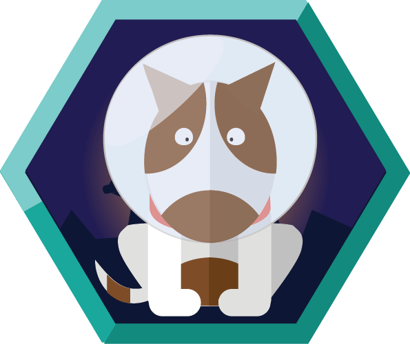 Badge Course 1